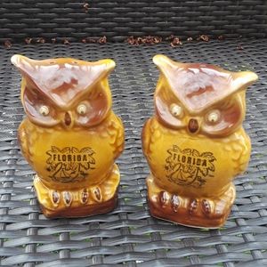 Vintage souvenir owl salt and pepper shakers